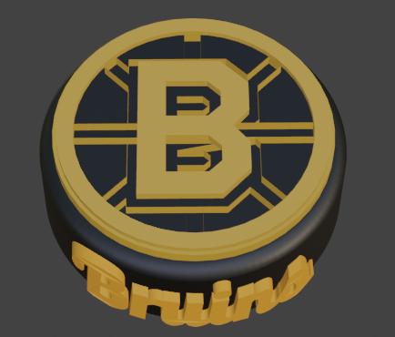 Boston Bruins Hockey Puck