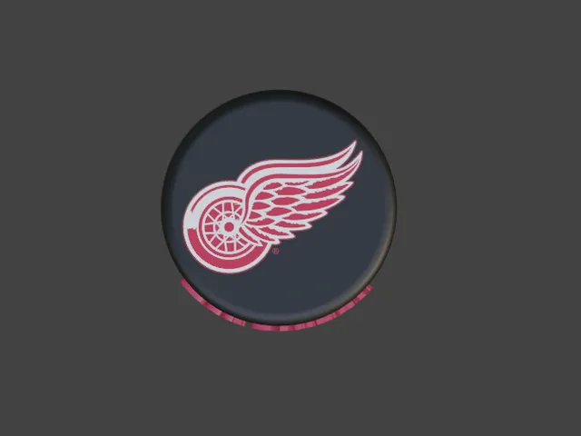 Detroit Red Wings Hockey Puck