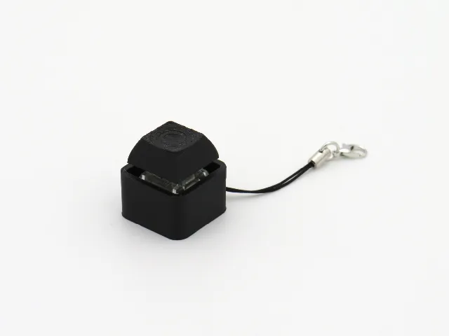 Mechanical keyboard fidget switch keychain