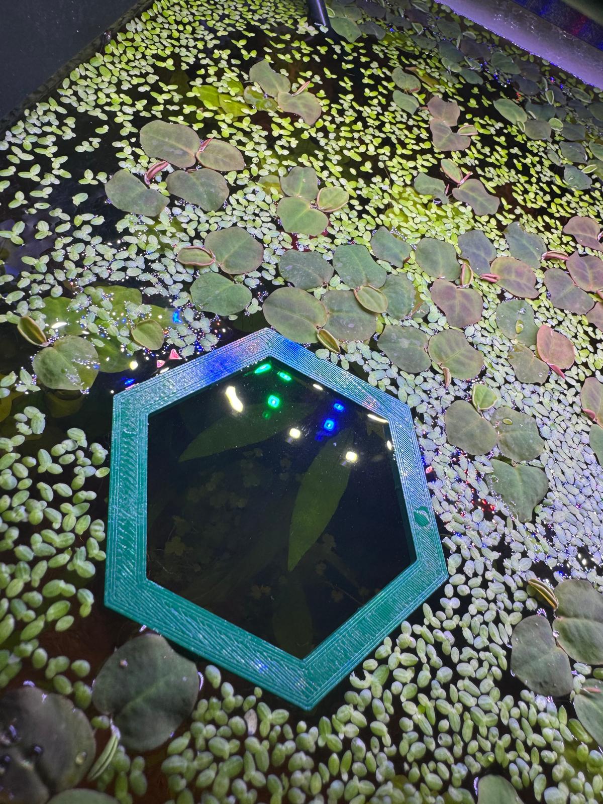 Aquarium Floating Hexagon Portal by Alec Henry | Download free STL ...