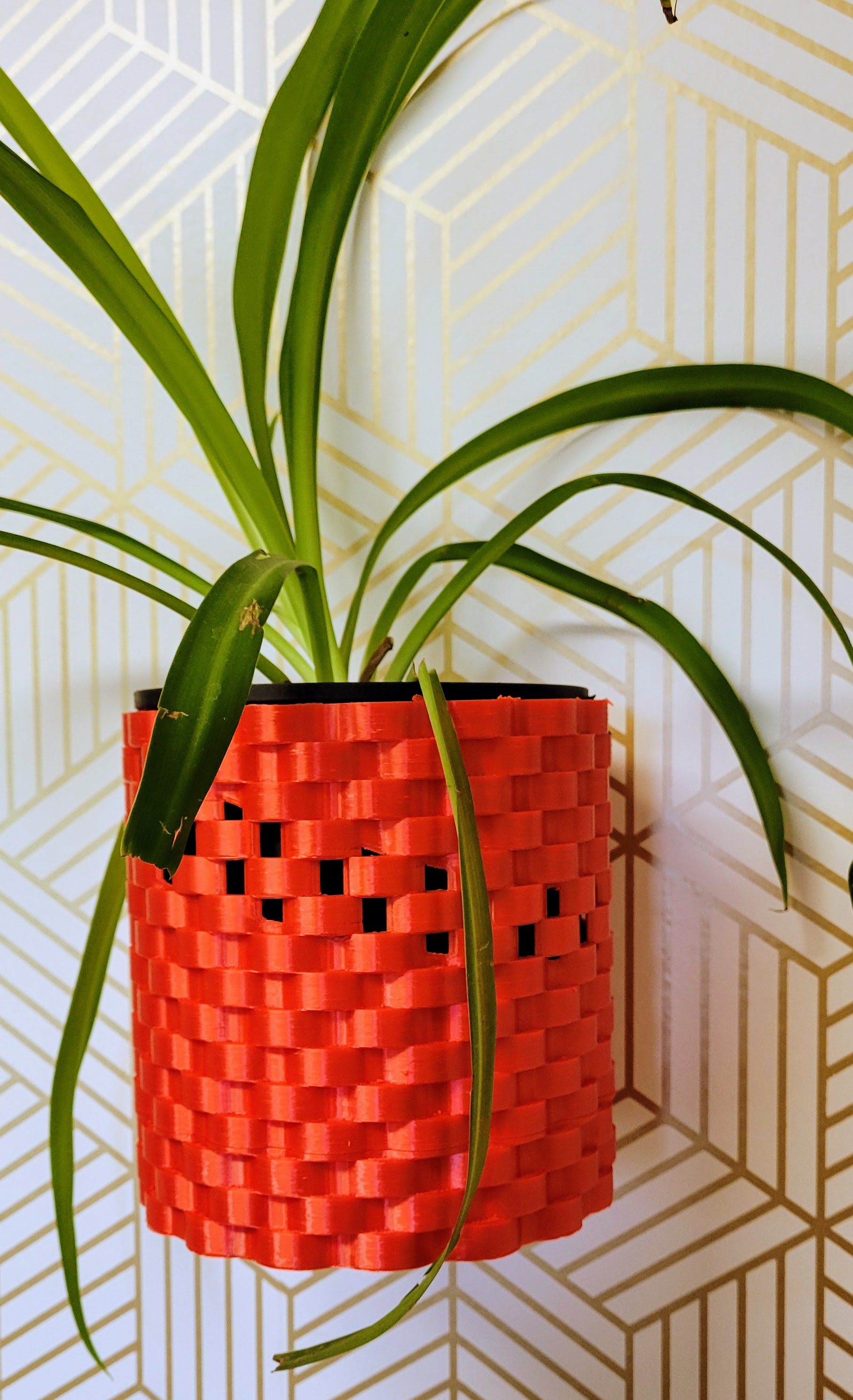 Wall Vase with Integrated Water Distribution System #4