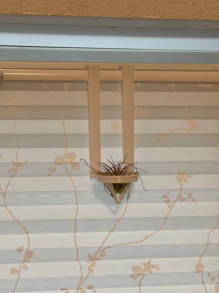 Bromeliad window mount