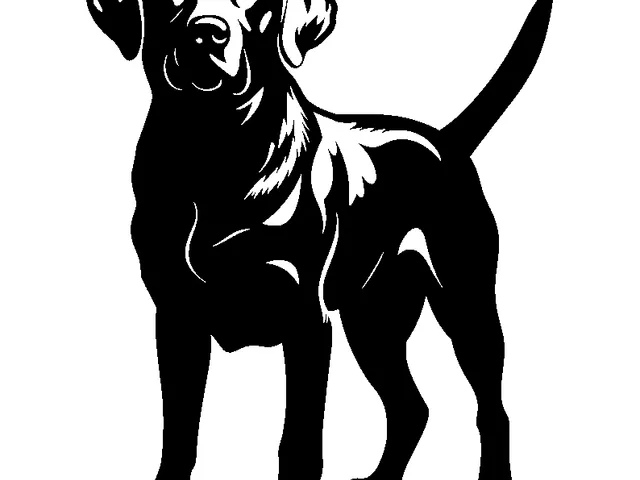 Labrador Dog Wall Art