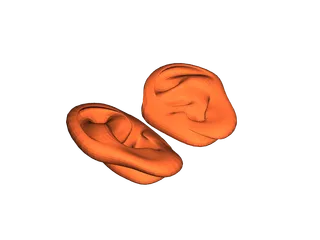 Ear by mikan | Download free STL model | Printables.com