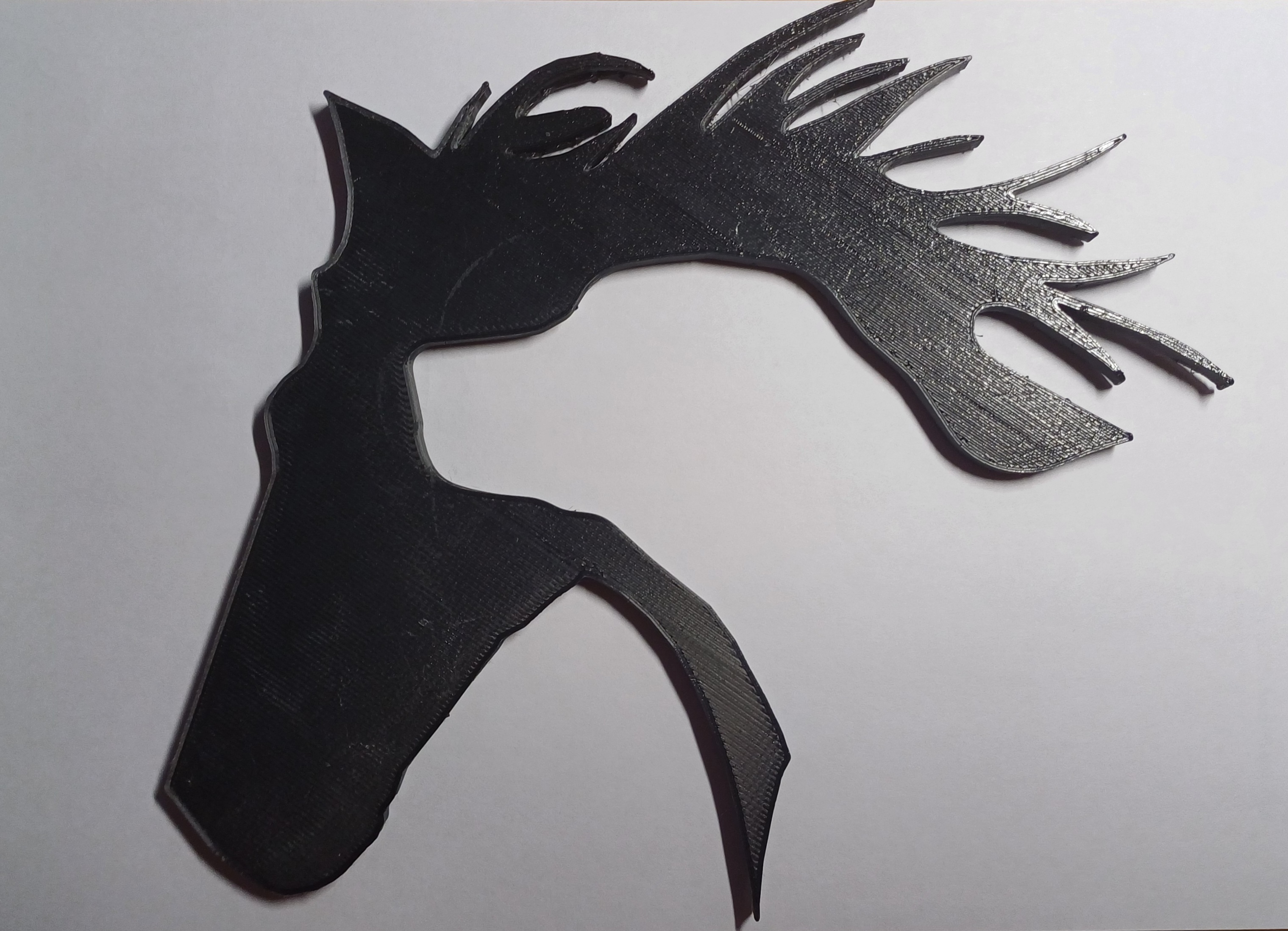 shadow of a horse and a dog
