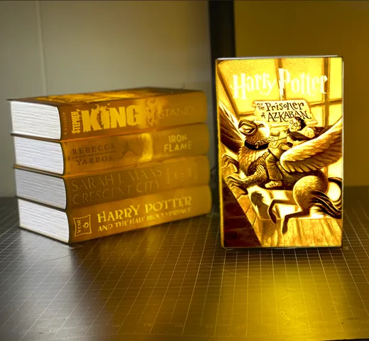 Lithophane Books (Harry Potter Book 3)