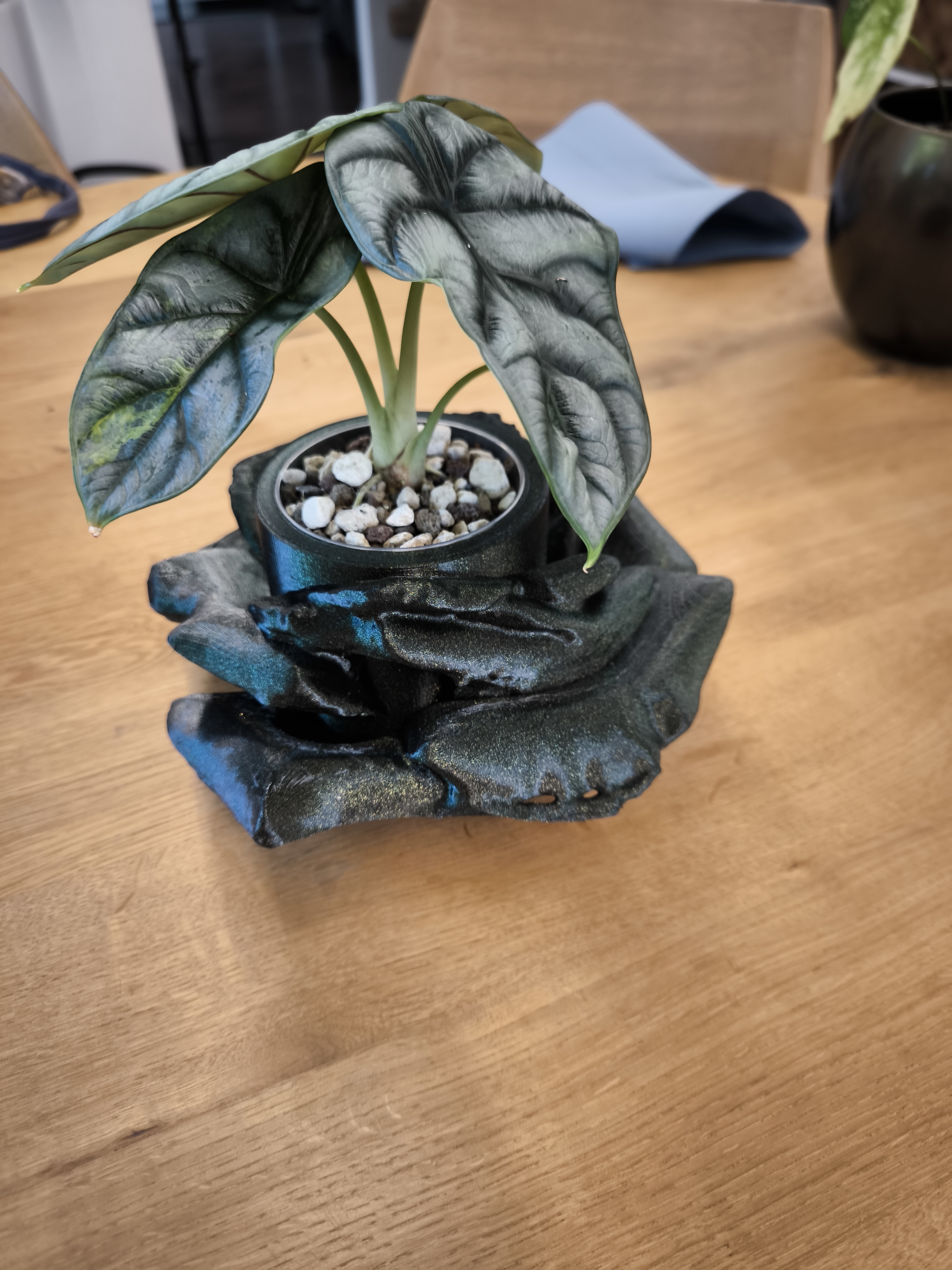 Blumentopf Rose — miniatura 2