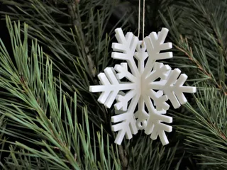 Christmas snowflake by Kaashul | Download free STL model ...