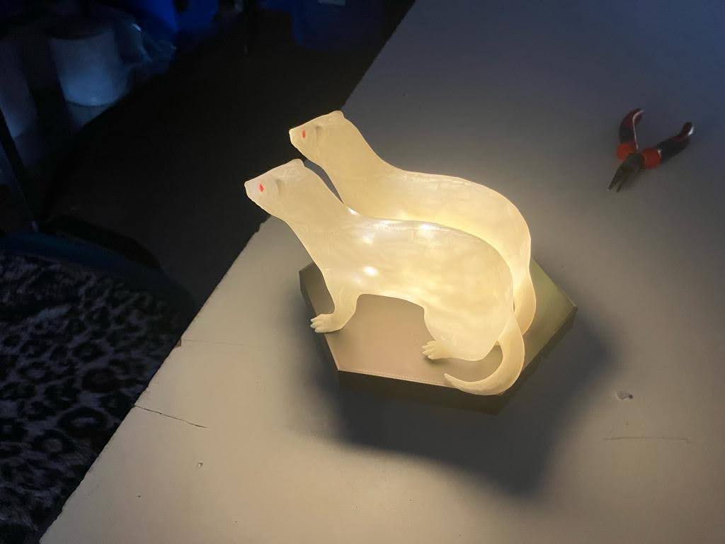 Ferret lamp - Fretkolampa