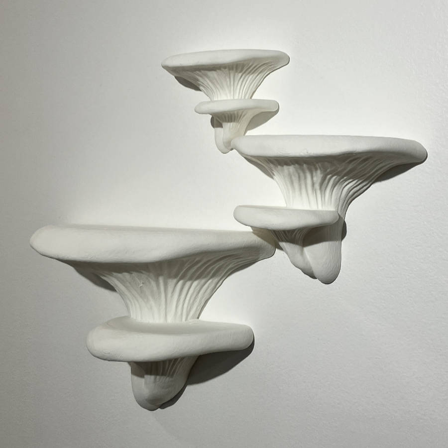 Shroom Shelves 3D model thumbnail