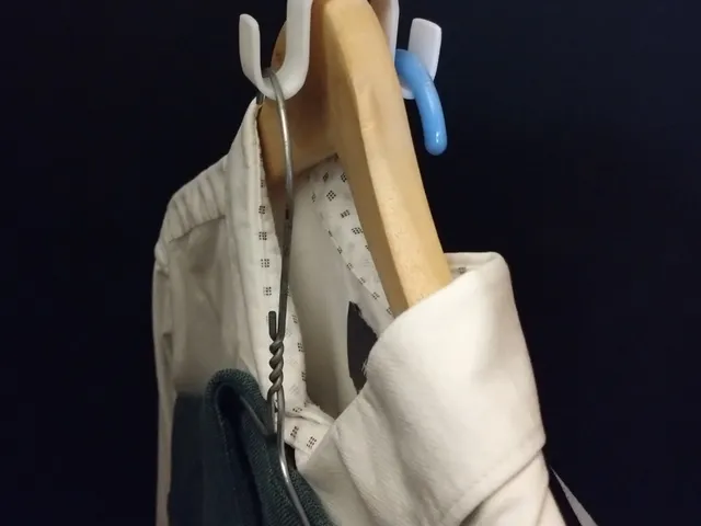 Closet Double Hook
