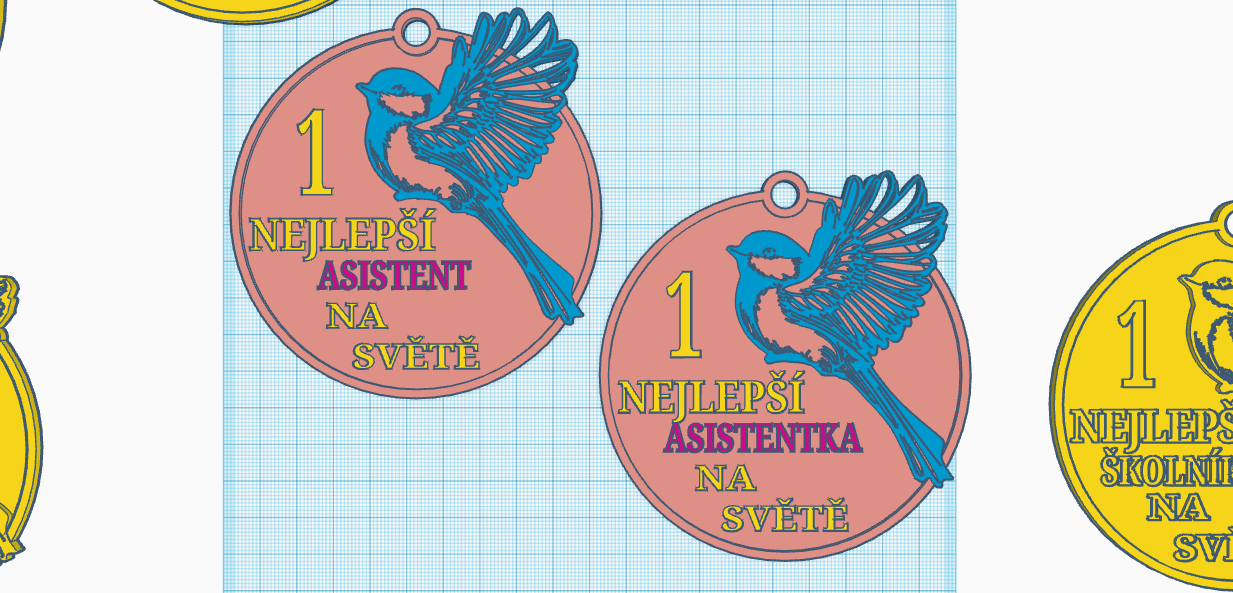 Medal for teacher by Eva Máčová | Download free STL model | Printables.com