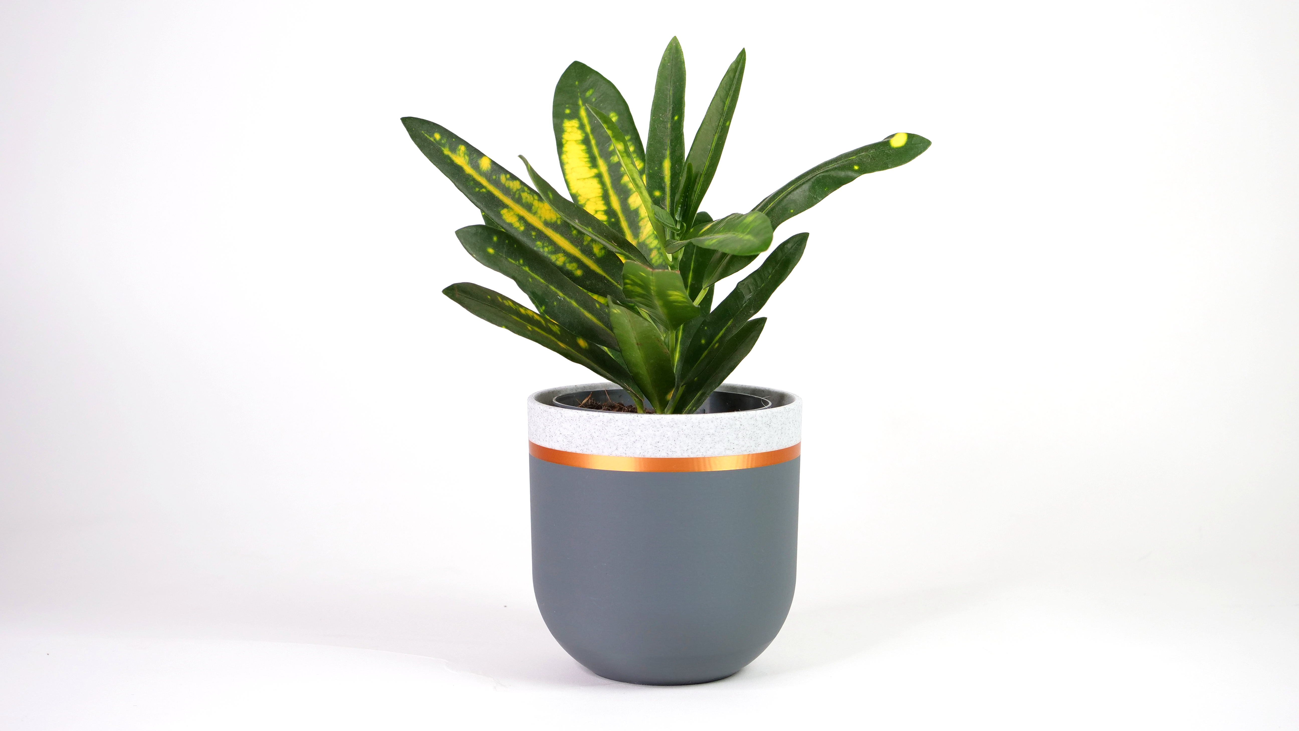 Modern Ring Planter