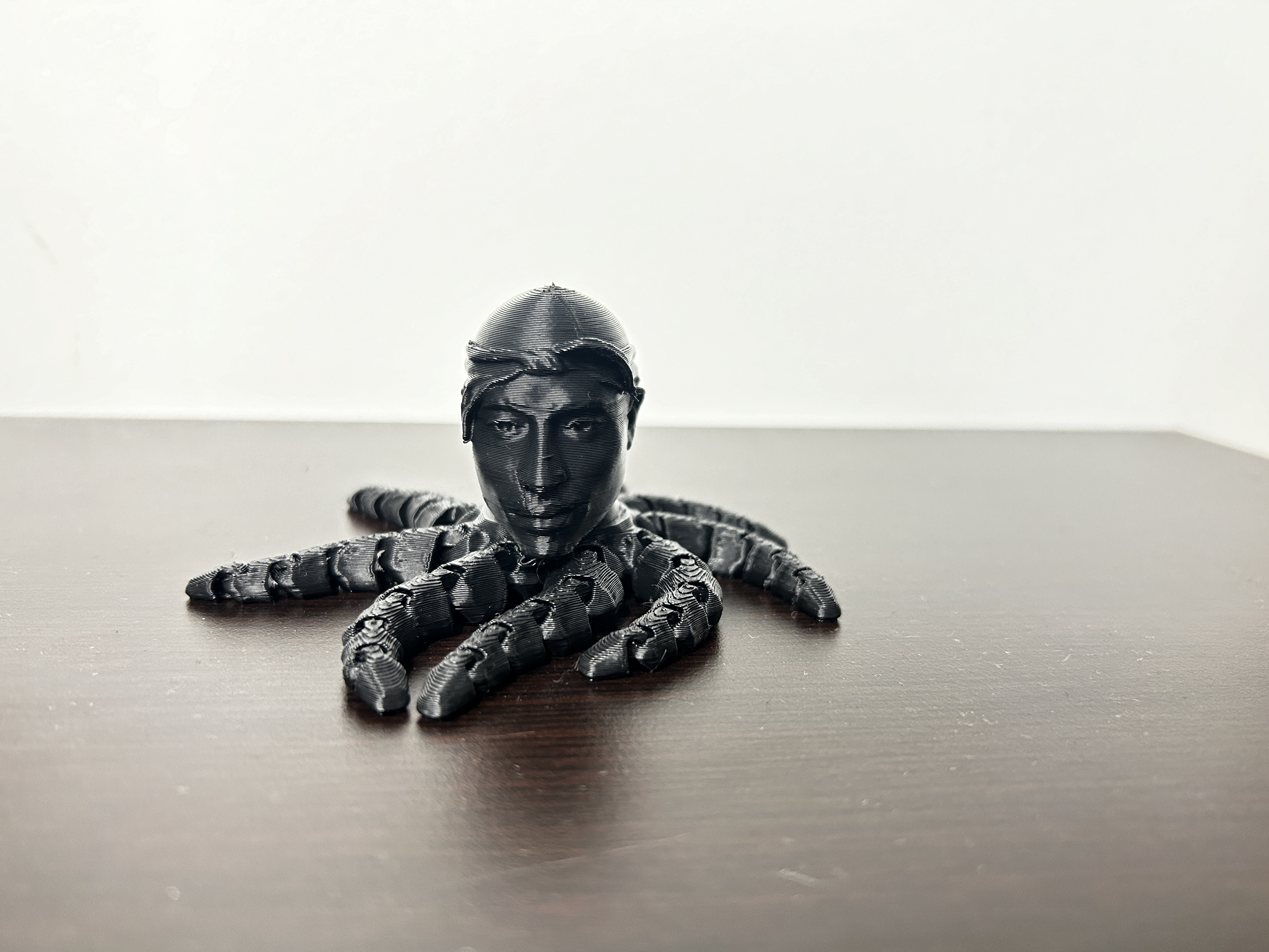 Miniatura 3 do modelo 3D 2pactopus