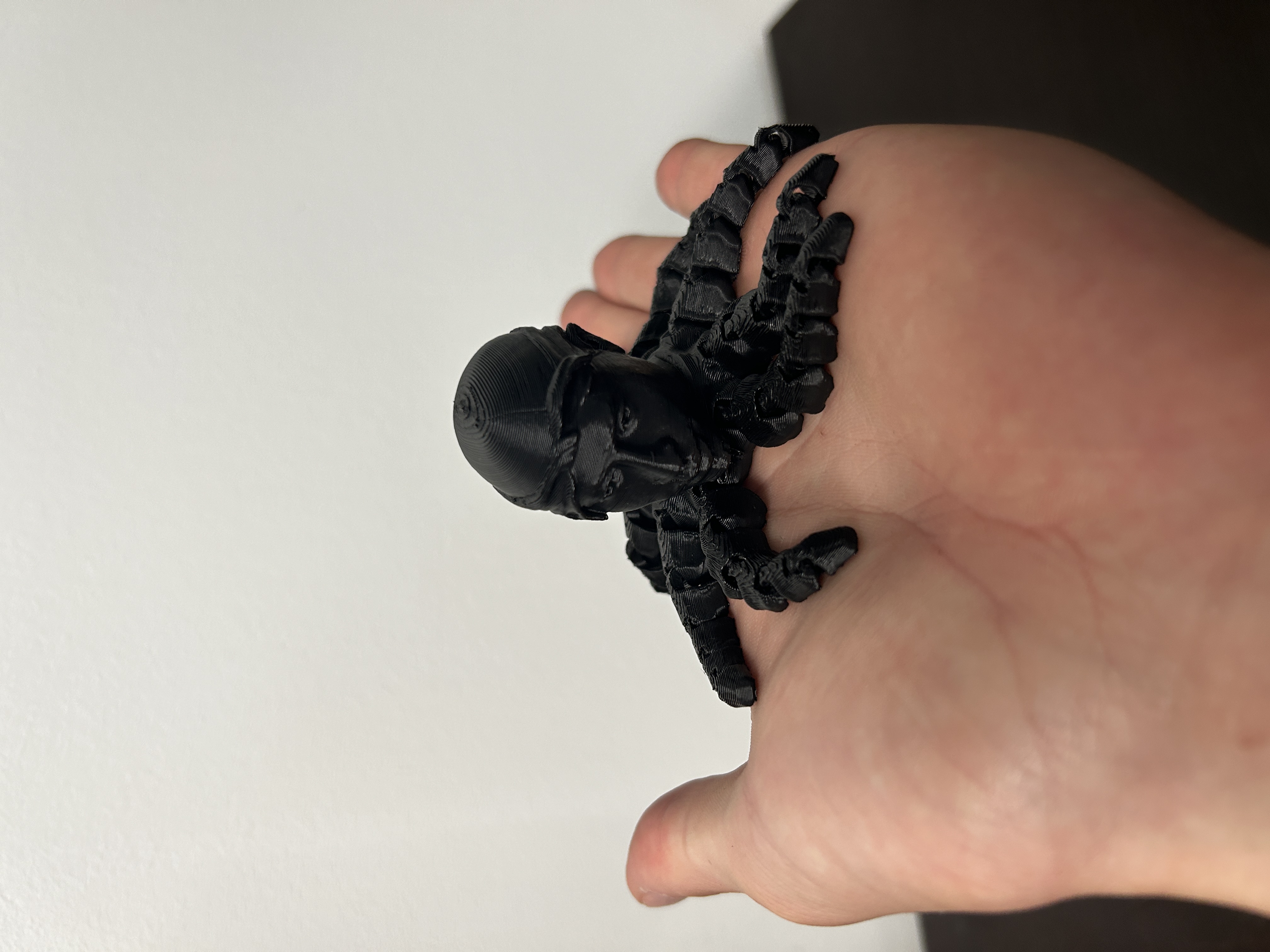 Miniatura 2 do modelo 3D 2pactopus