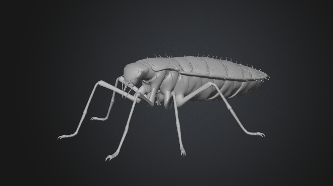 Miniatura 2 do modelo 3D cockroach
