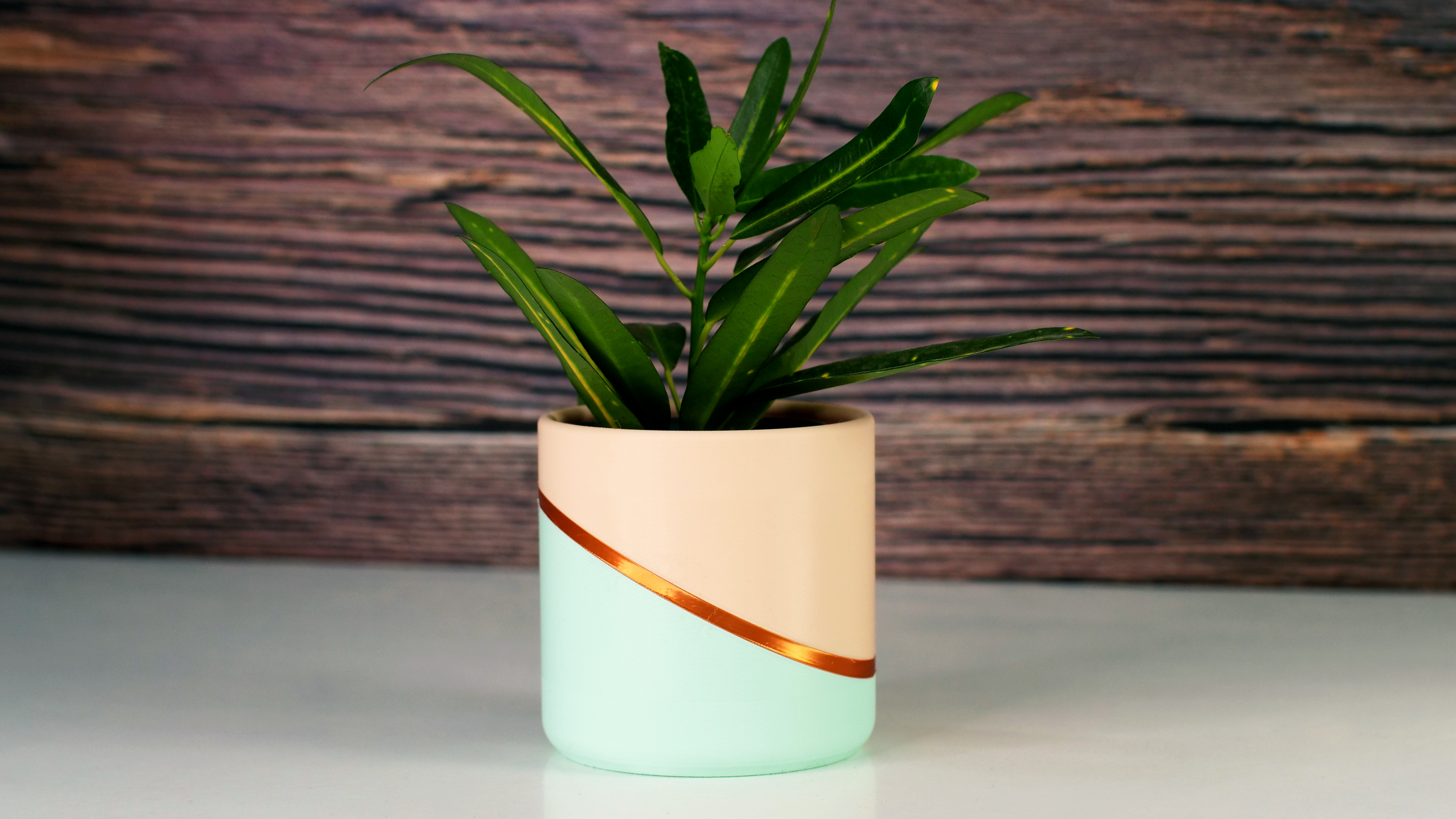 Moderns Slope Ring Planter - MMU