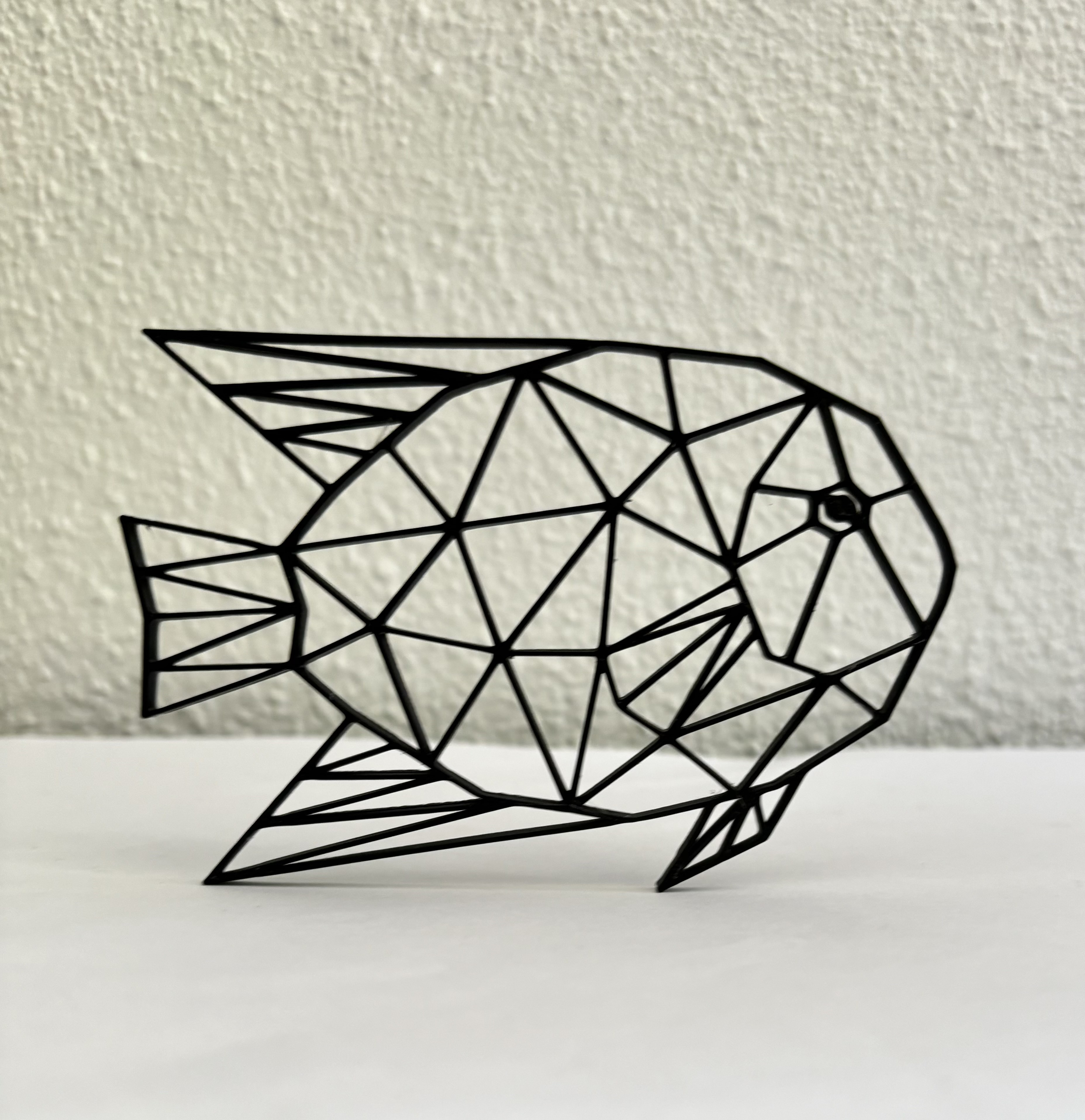 Geometric Fish