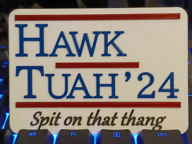 Hawk Tuah! Spit on that thang