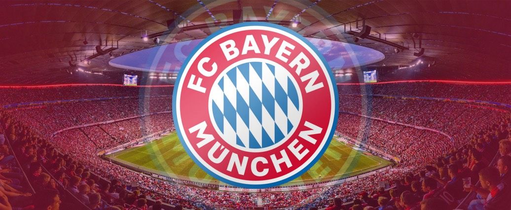 FC Bayern Lithophane