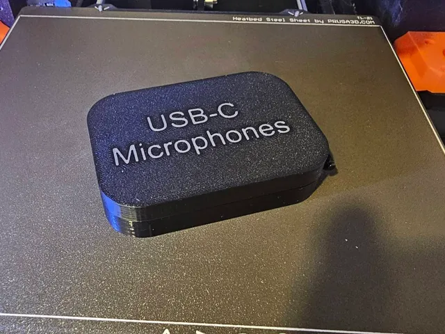 Levalier wireless microphones case