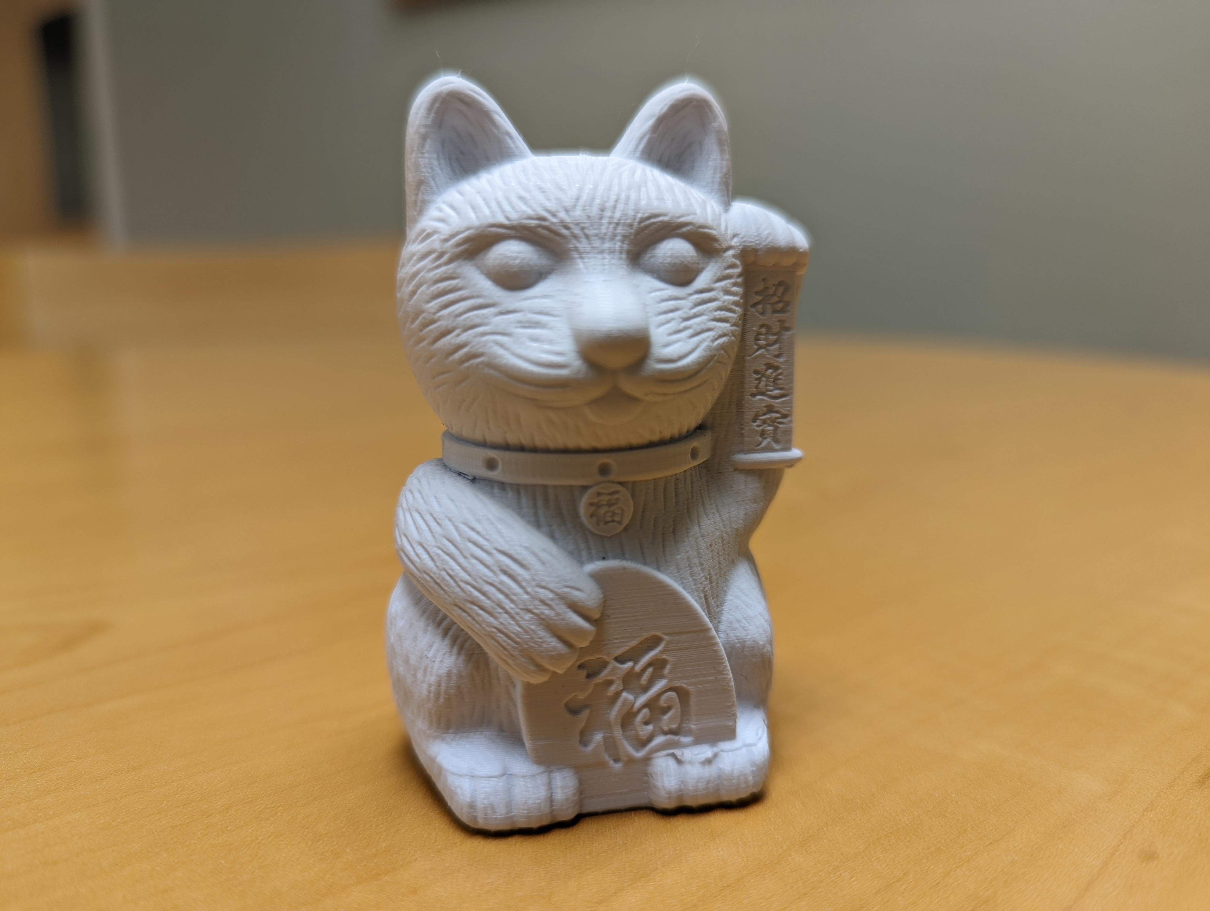 Cat benchy
