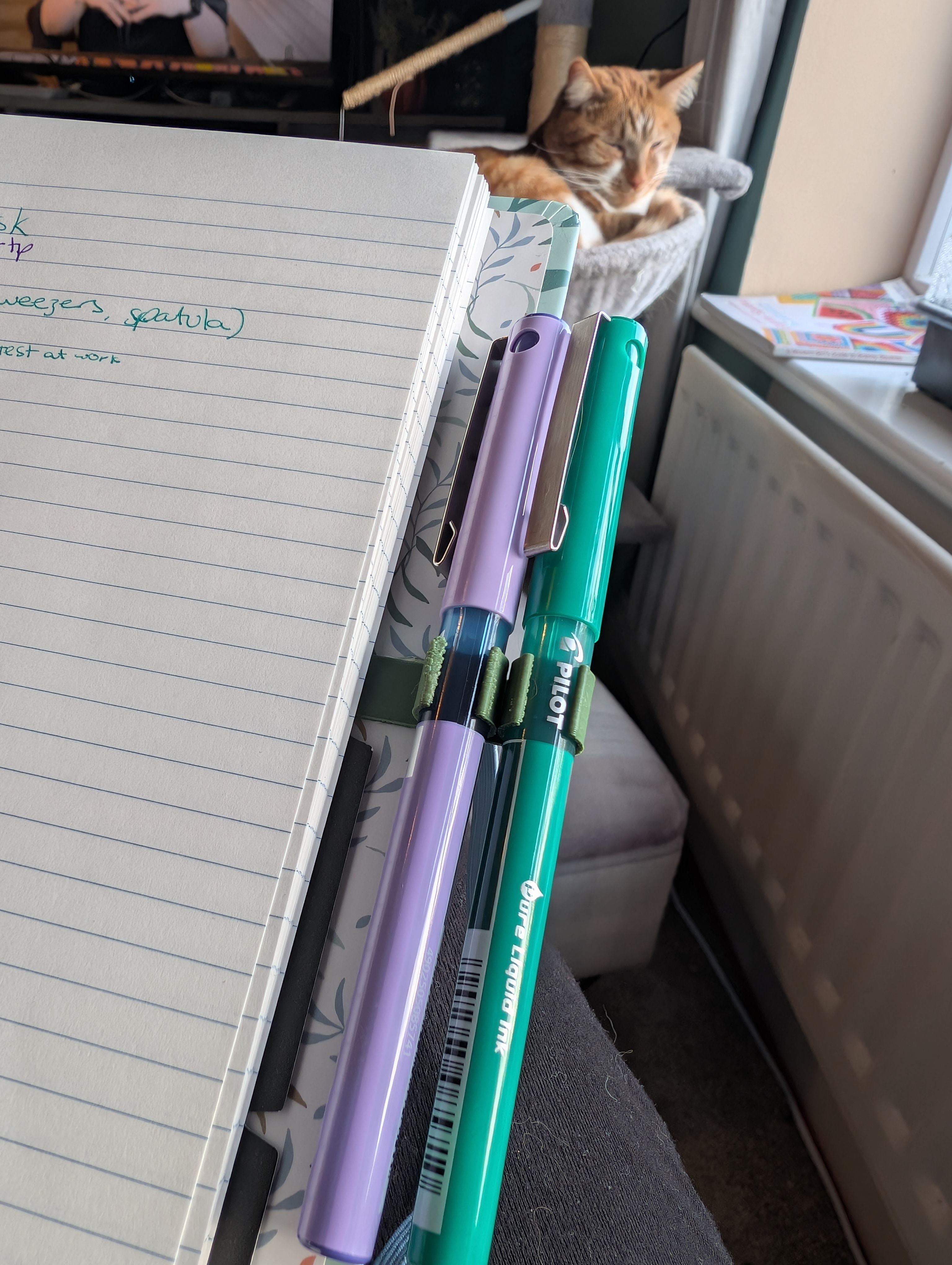 Double pen clip