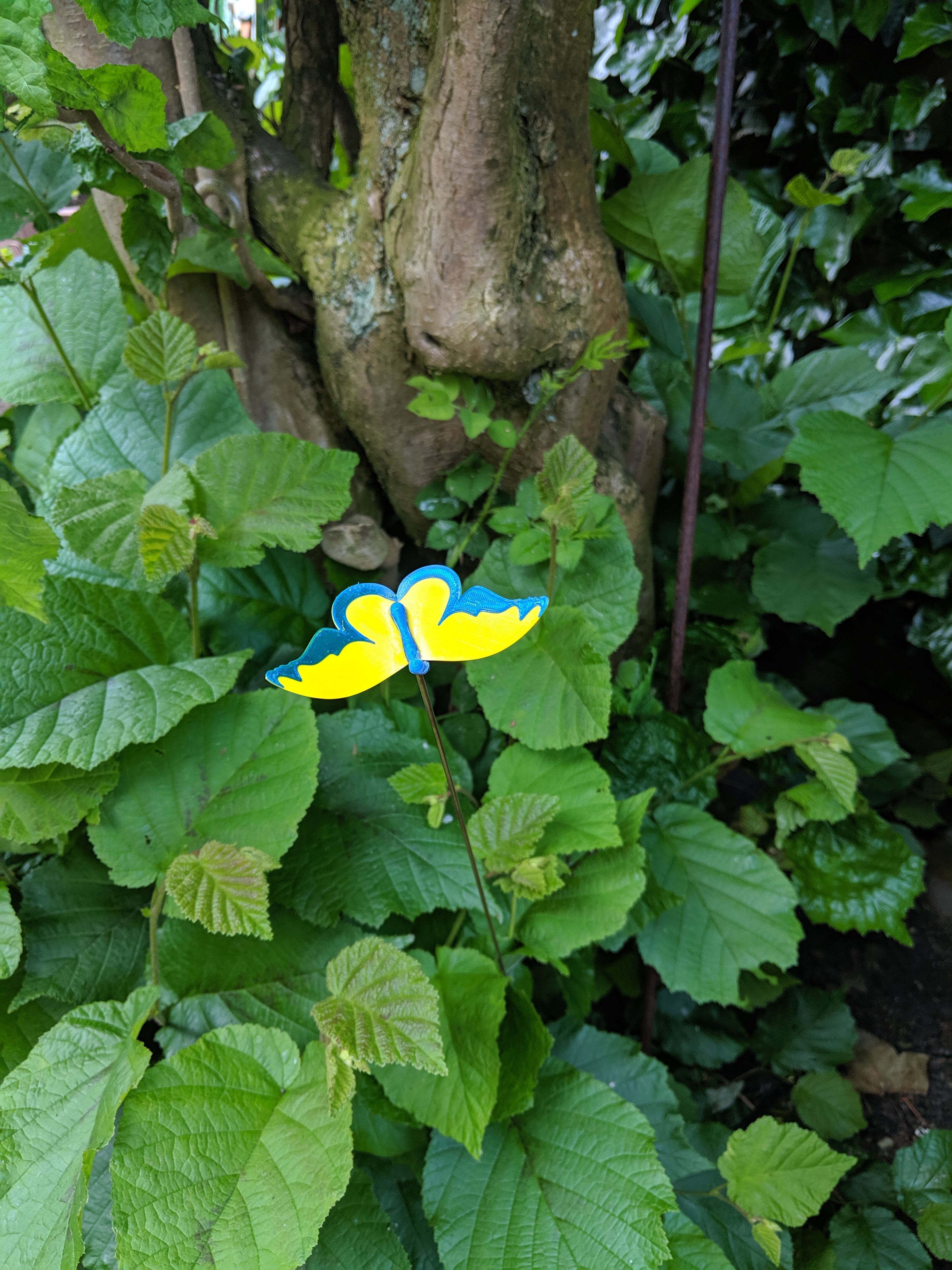 Butterfly - Wiggly colorful blobs for the garden or flowerpot)