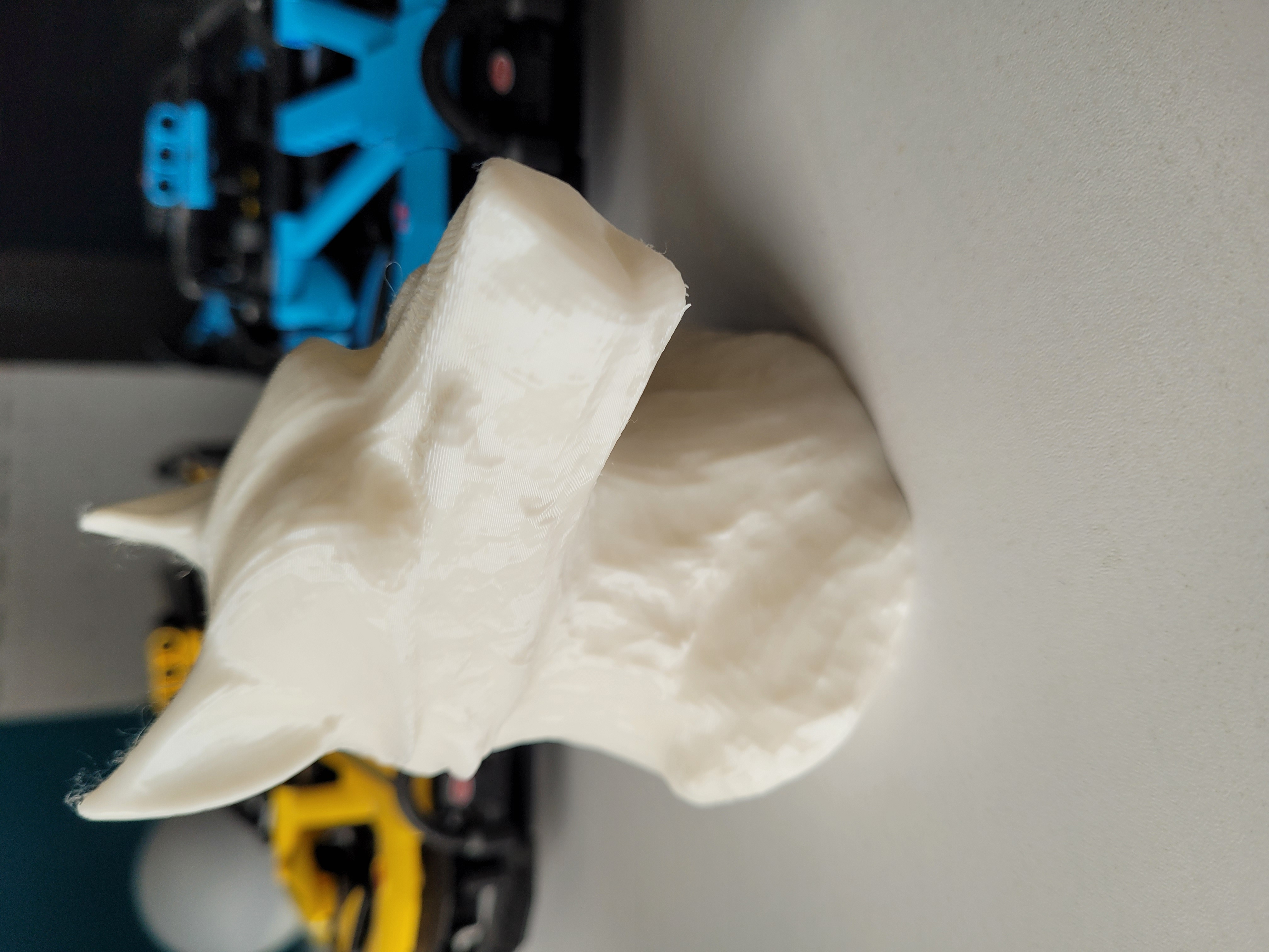 Miniatura 7 do modelo 3D Detailed Wolf Bust