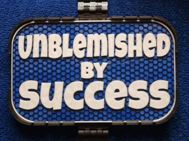 Unblemished by Success sign