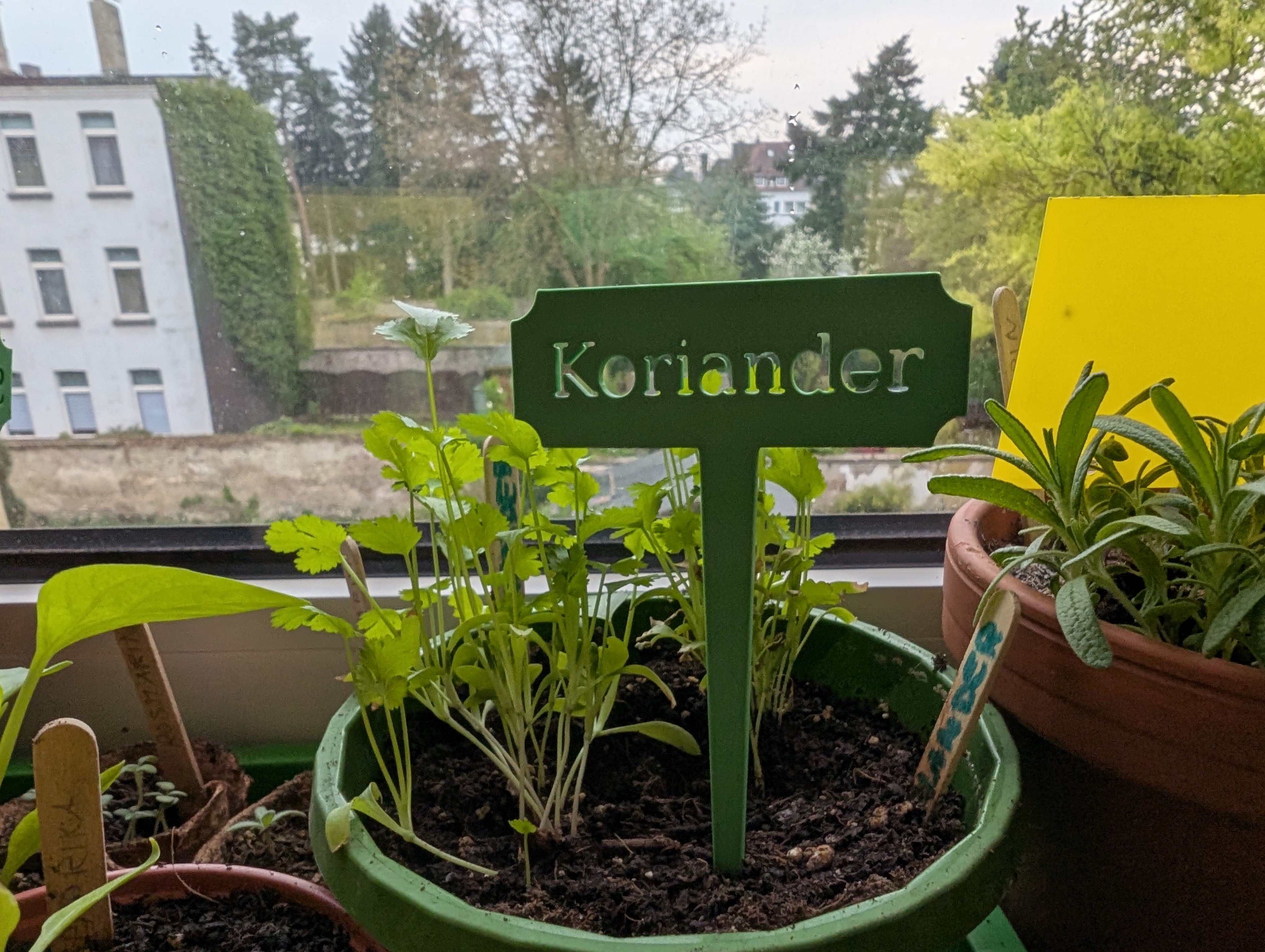 Pflanzenschilder/Plant signs Parametric (FreeCAD)