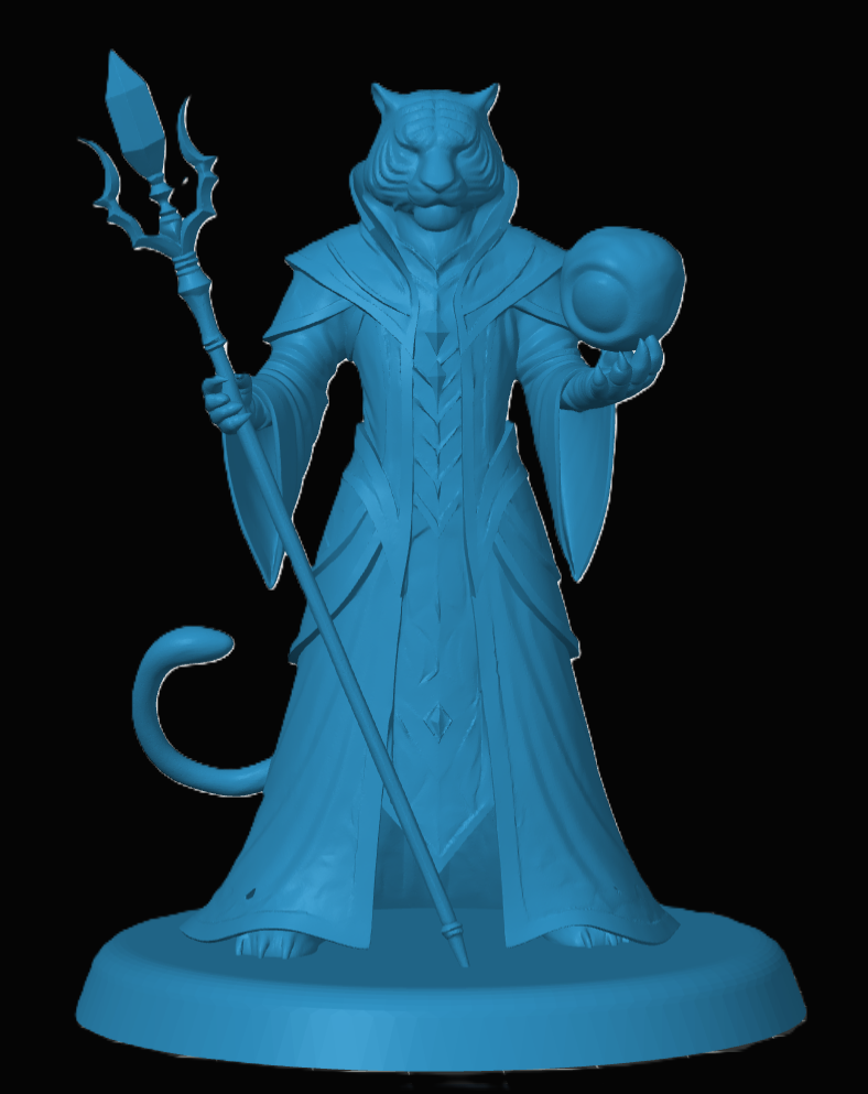 Tabaxi Wizard — miniatura 3