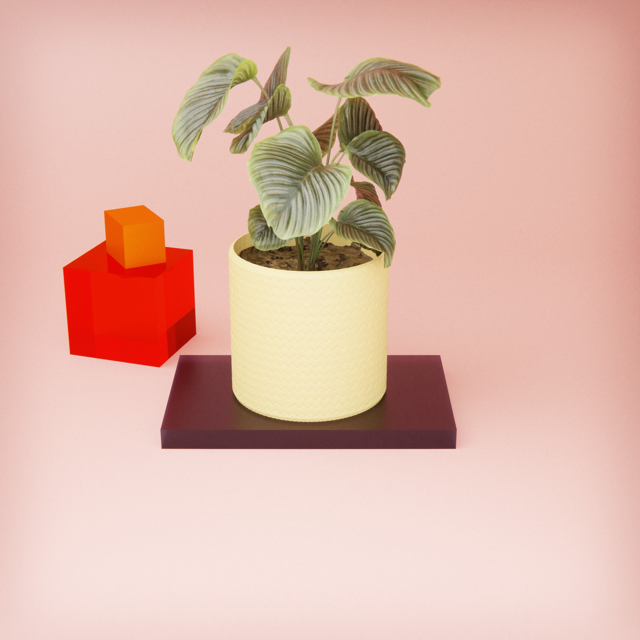 Plant pot