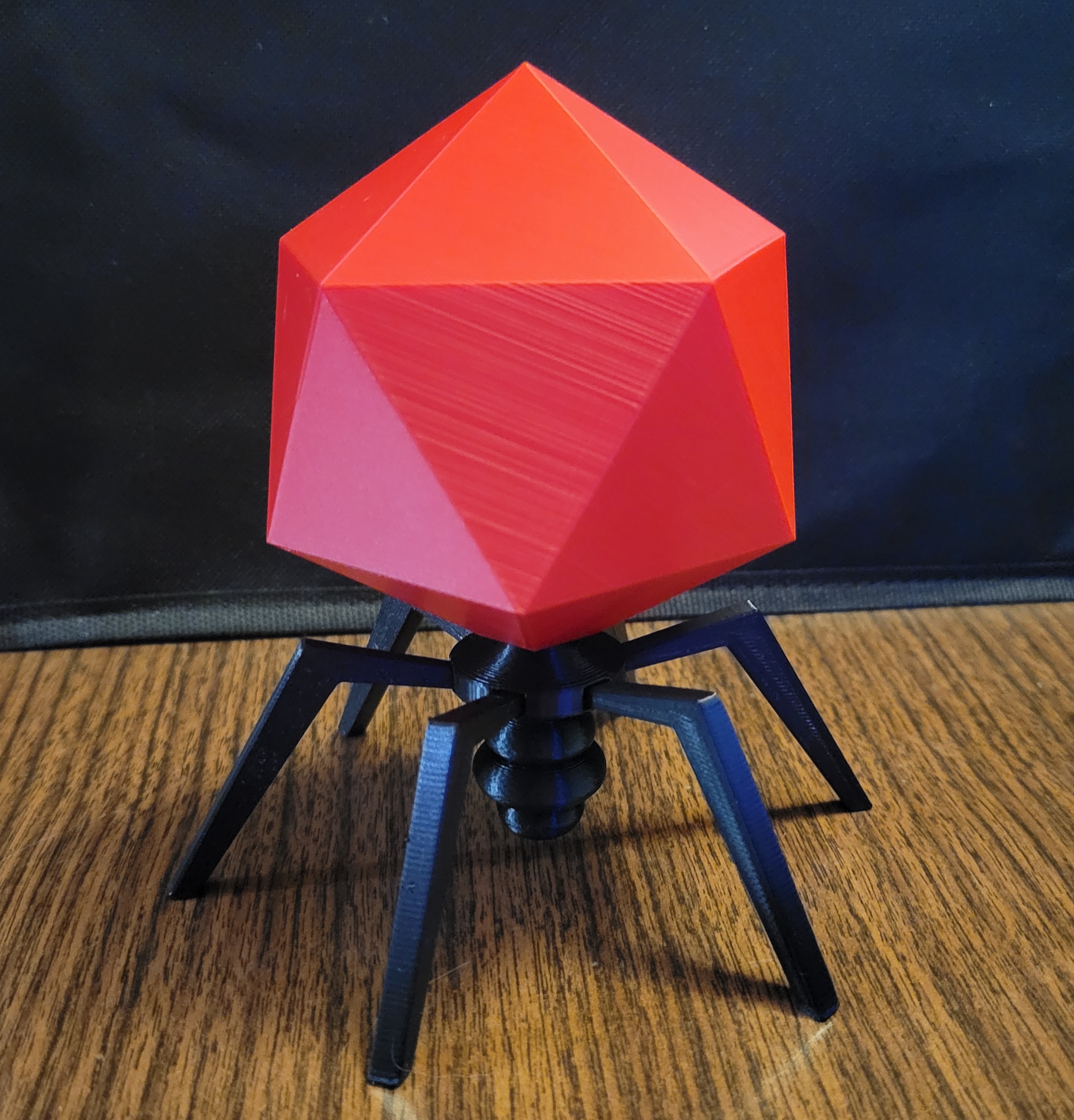 T7 Bacteriophage Model