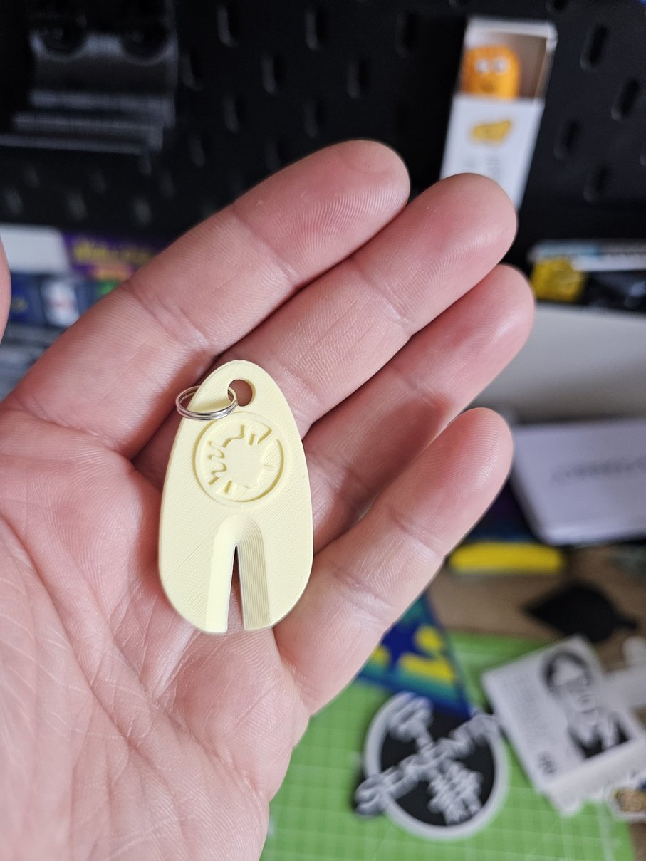 Tick removal keyring