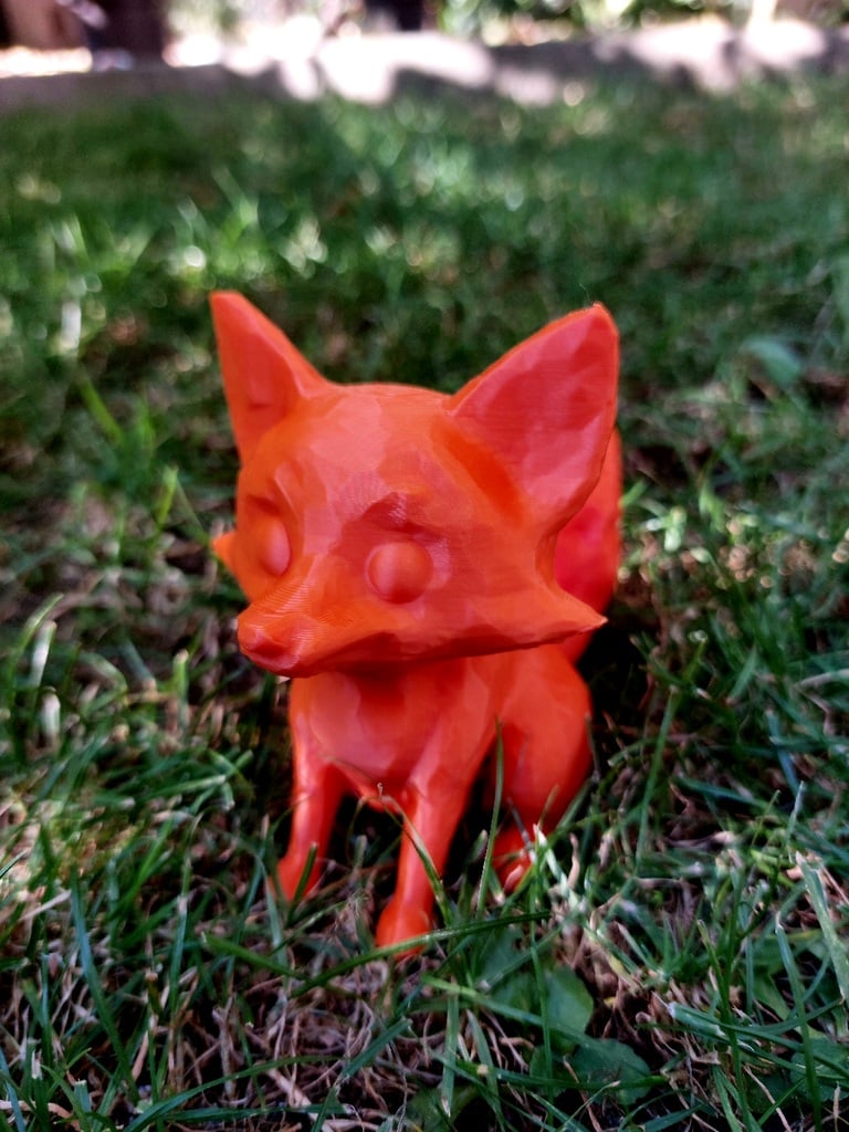Cute fox