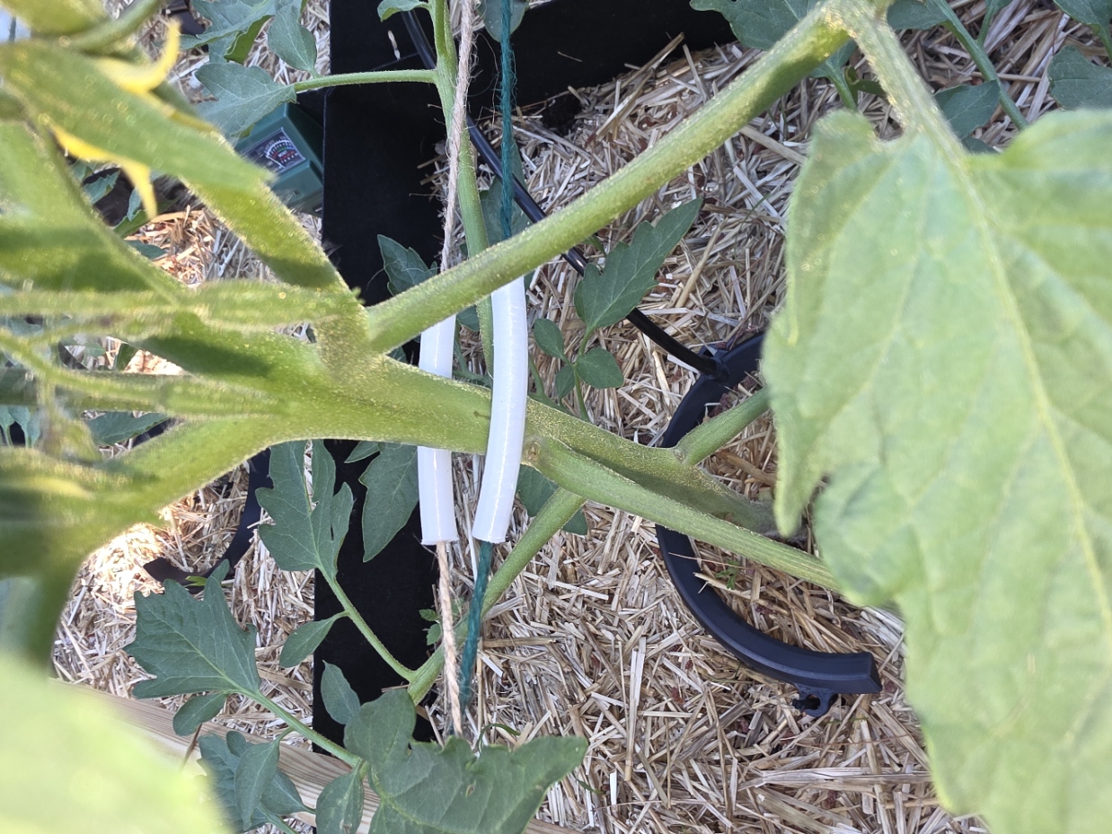 TPU Plant Protector for Trellis