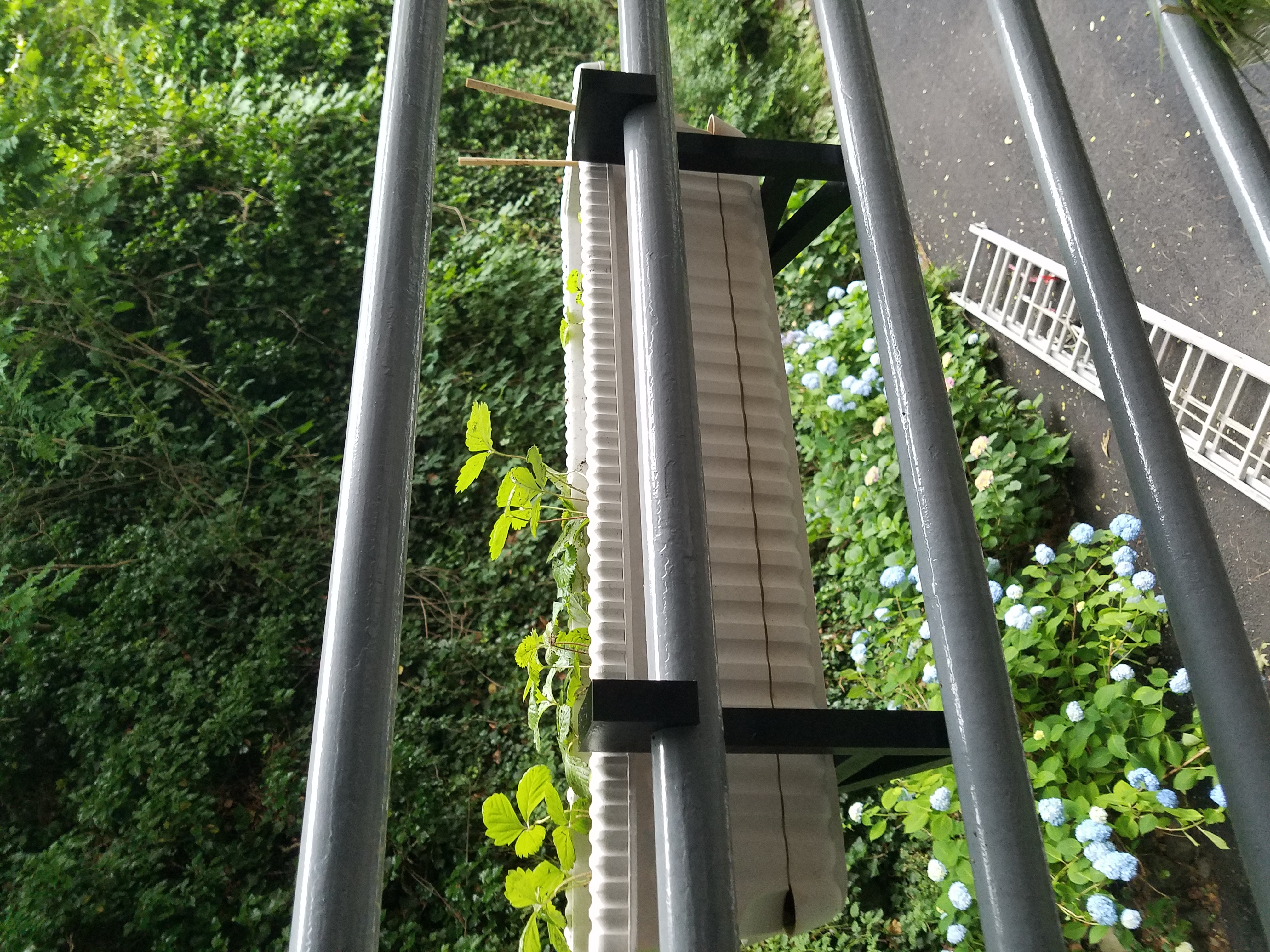 Flower box holder