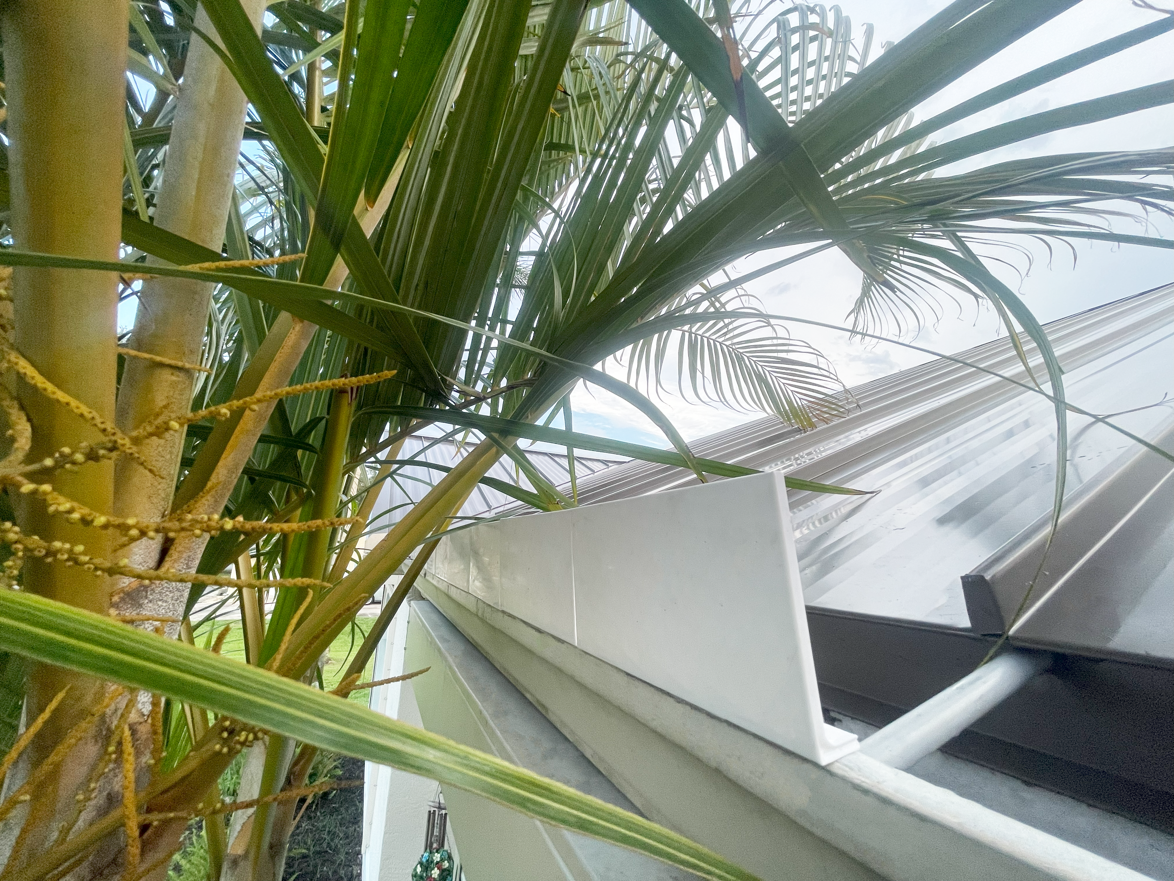 Rainwater Roof Gutter Guard/Gutter Deflector