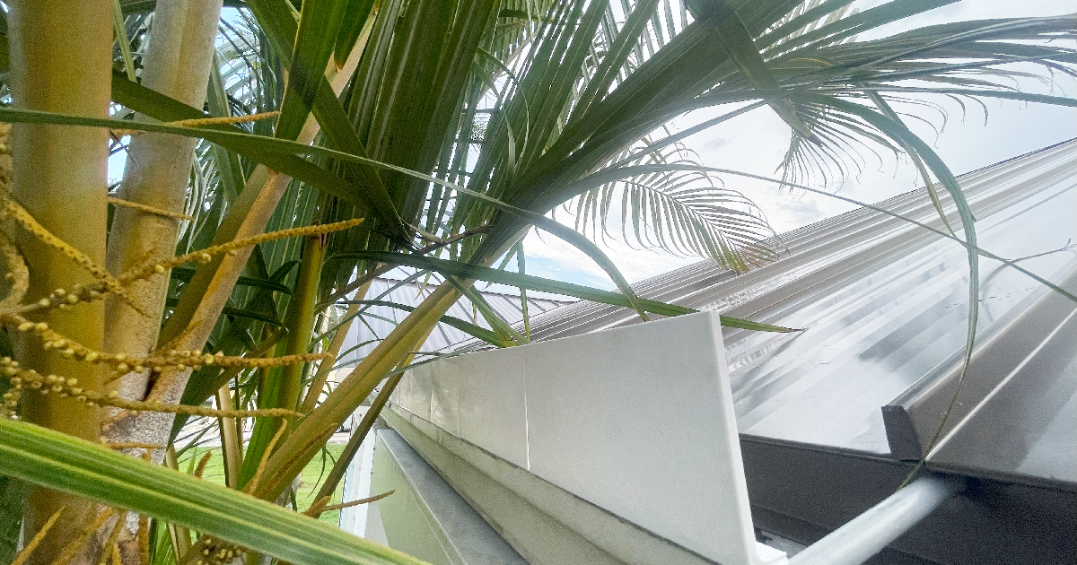 Rainwater Roof Gutter Guard/Gutter Deflector por automontronic