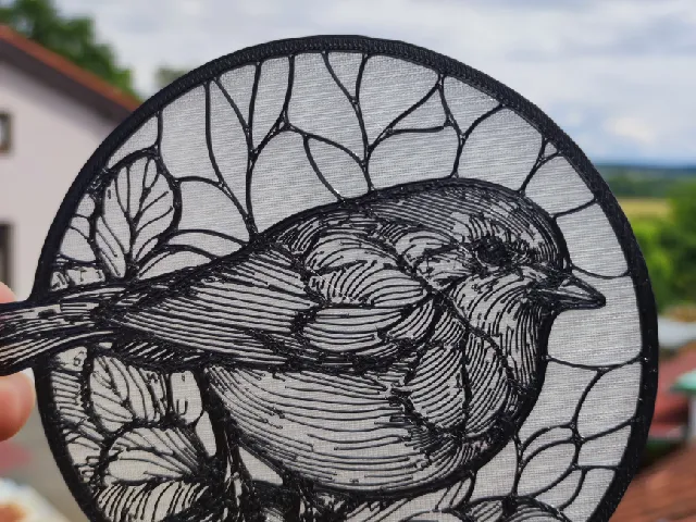 Robin (black and white)