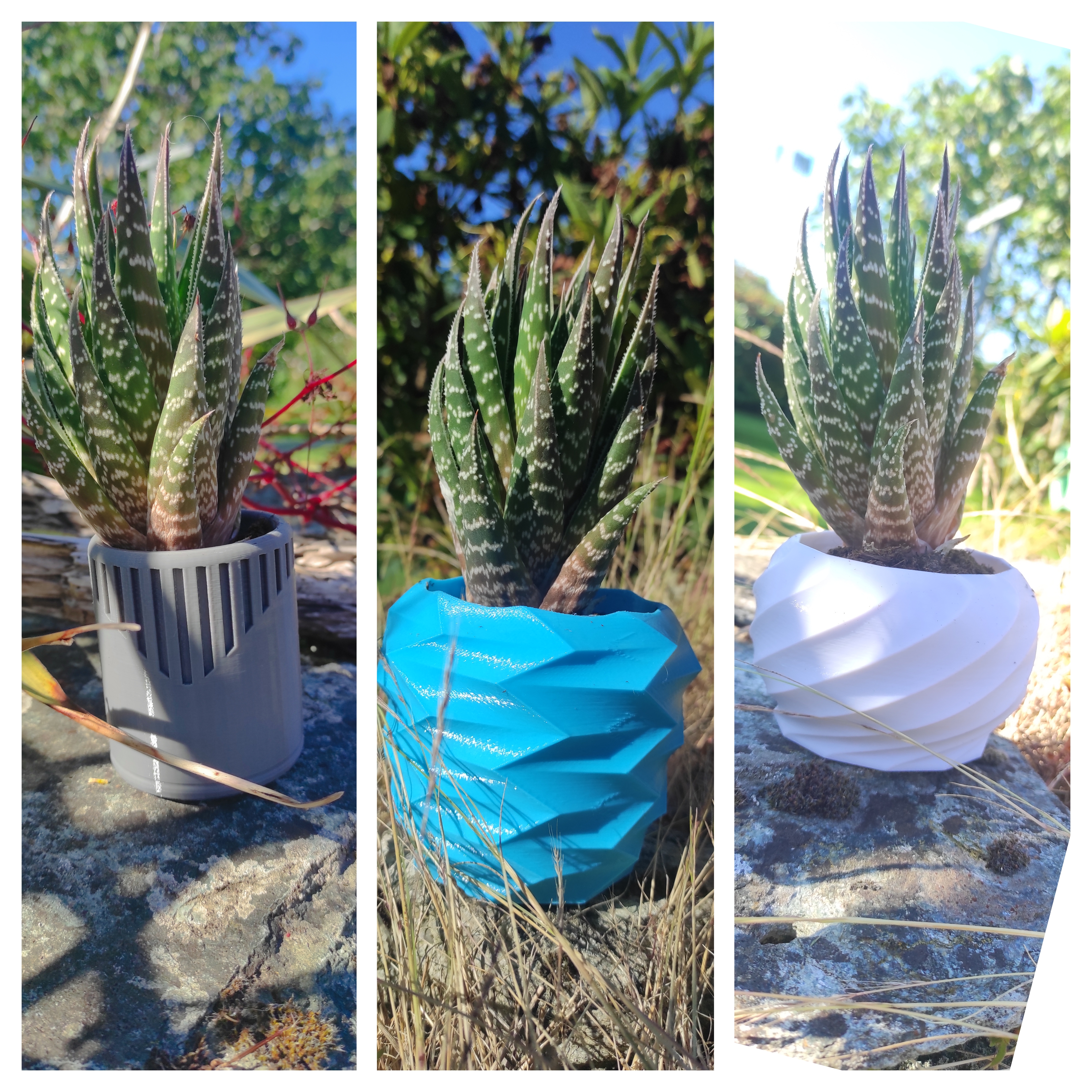 Desing- Planter - Pot de Fleurs