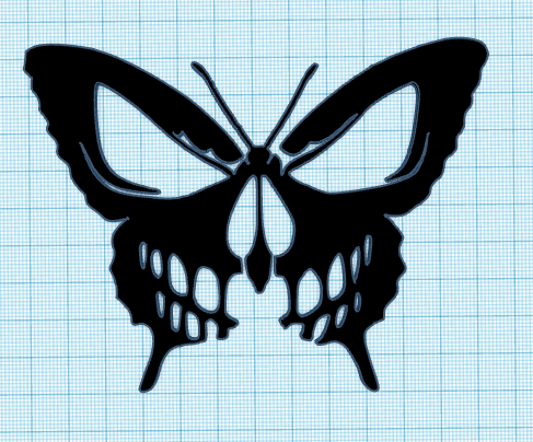 butterfly