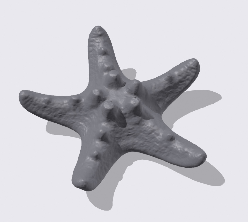 Miniatura 2 do modelo 3D Starfish photogrammetry scan