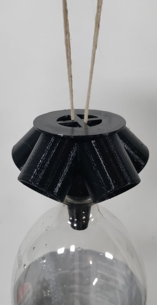 Fly Traps