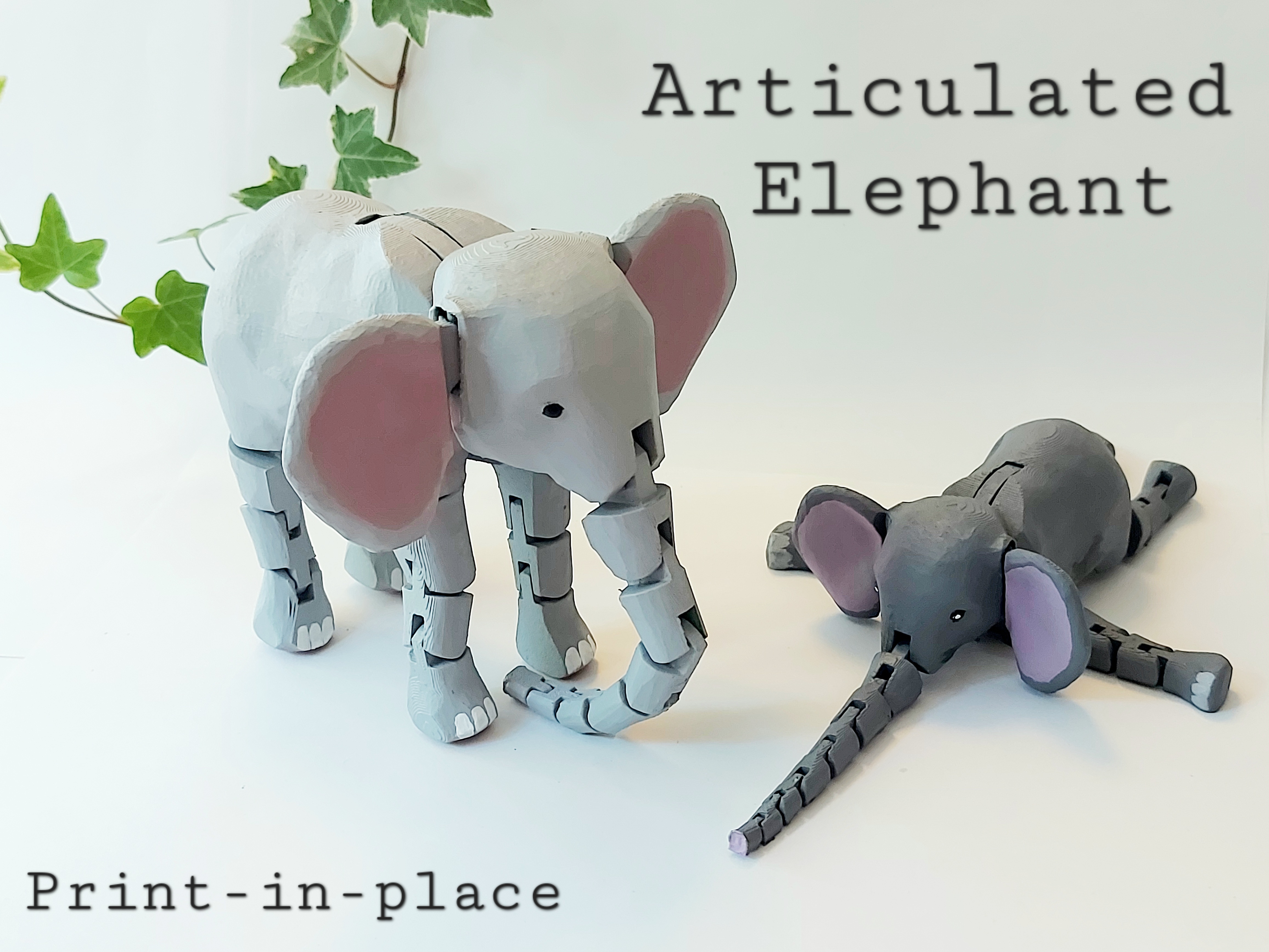 Elephant