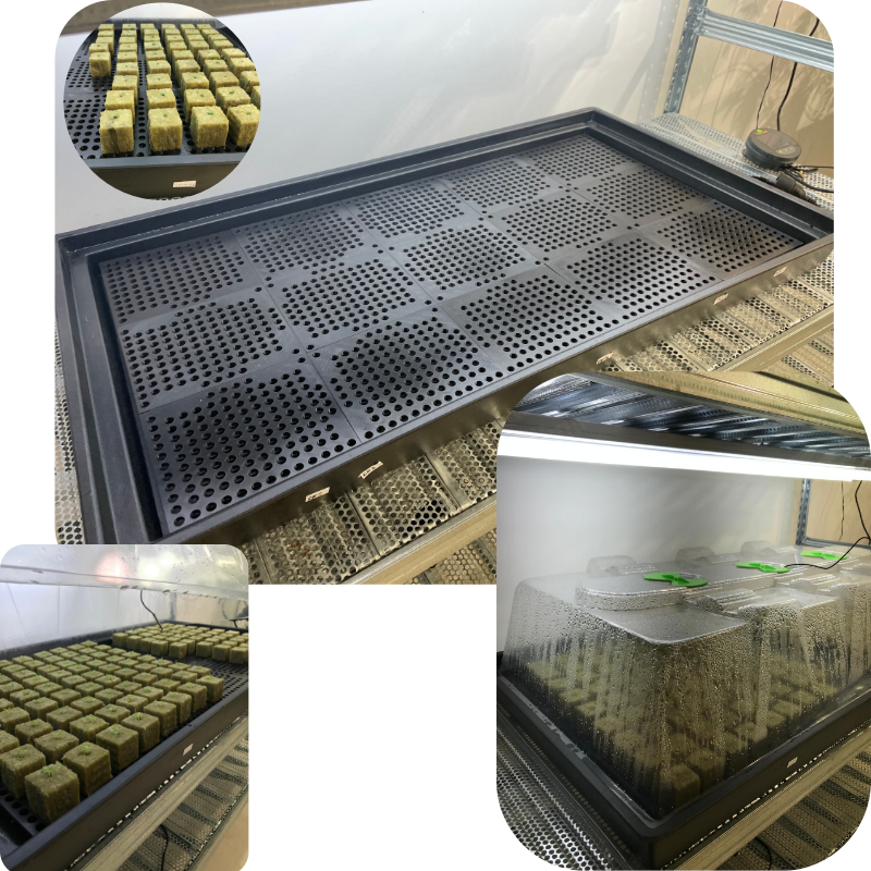 Planting/dripper plate for any plants