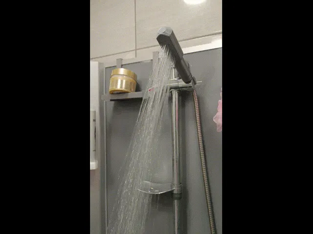 shower head