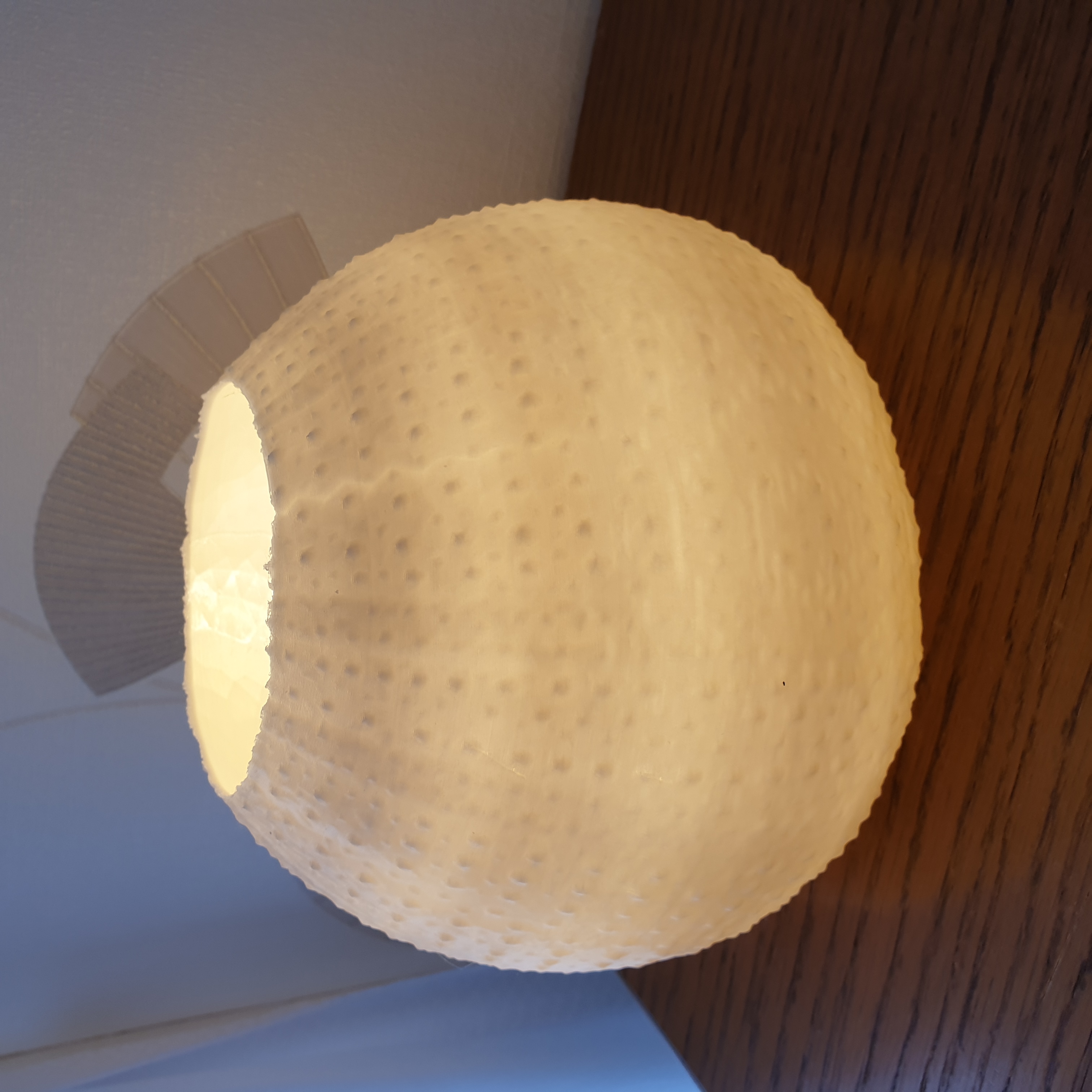 Lampe oursin / Sea urchin lamp