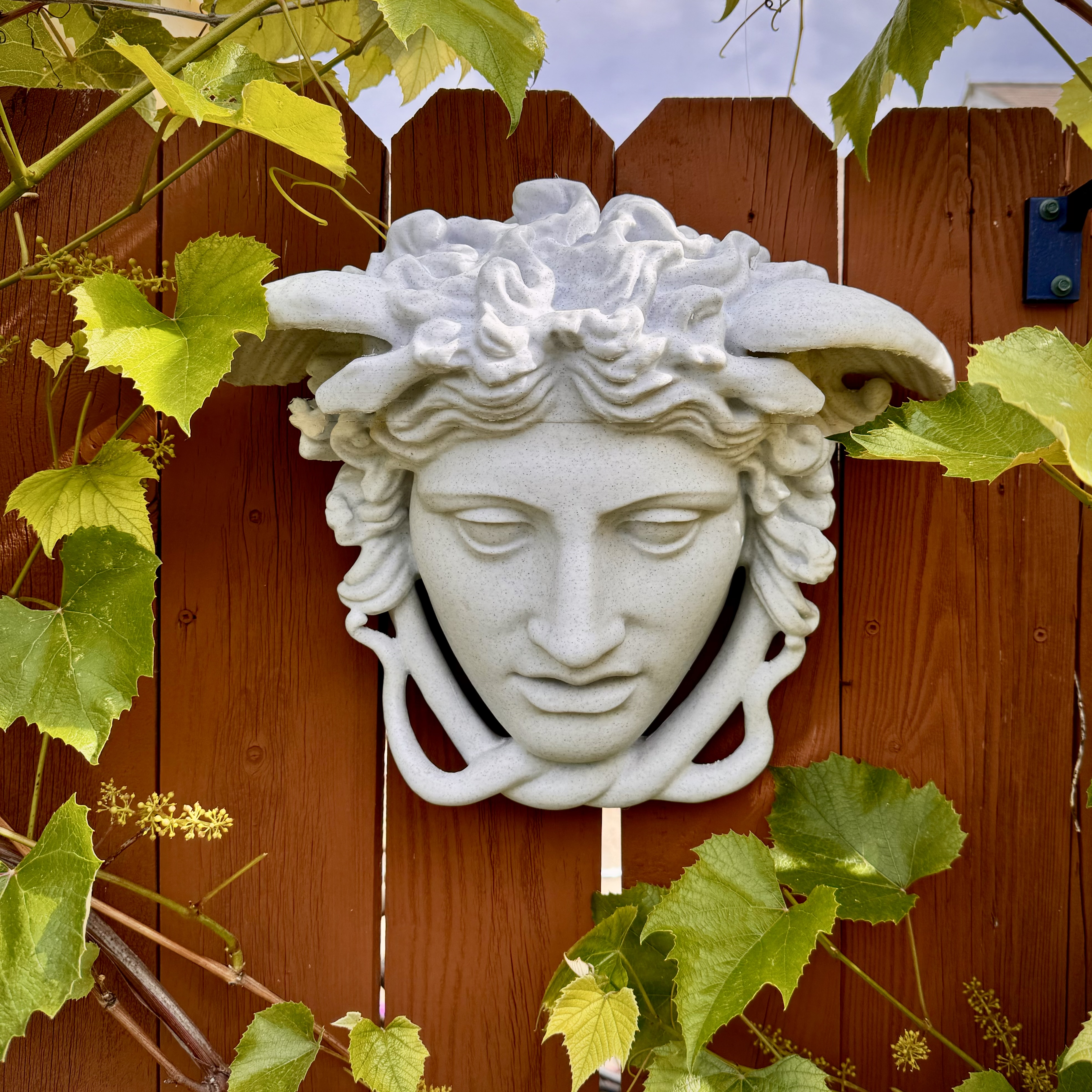 Vineyard Art